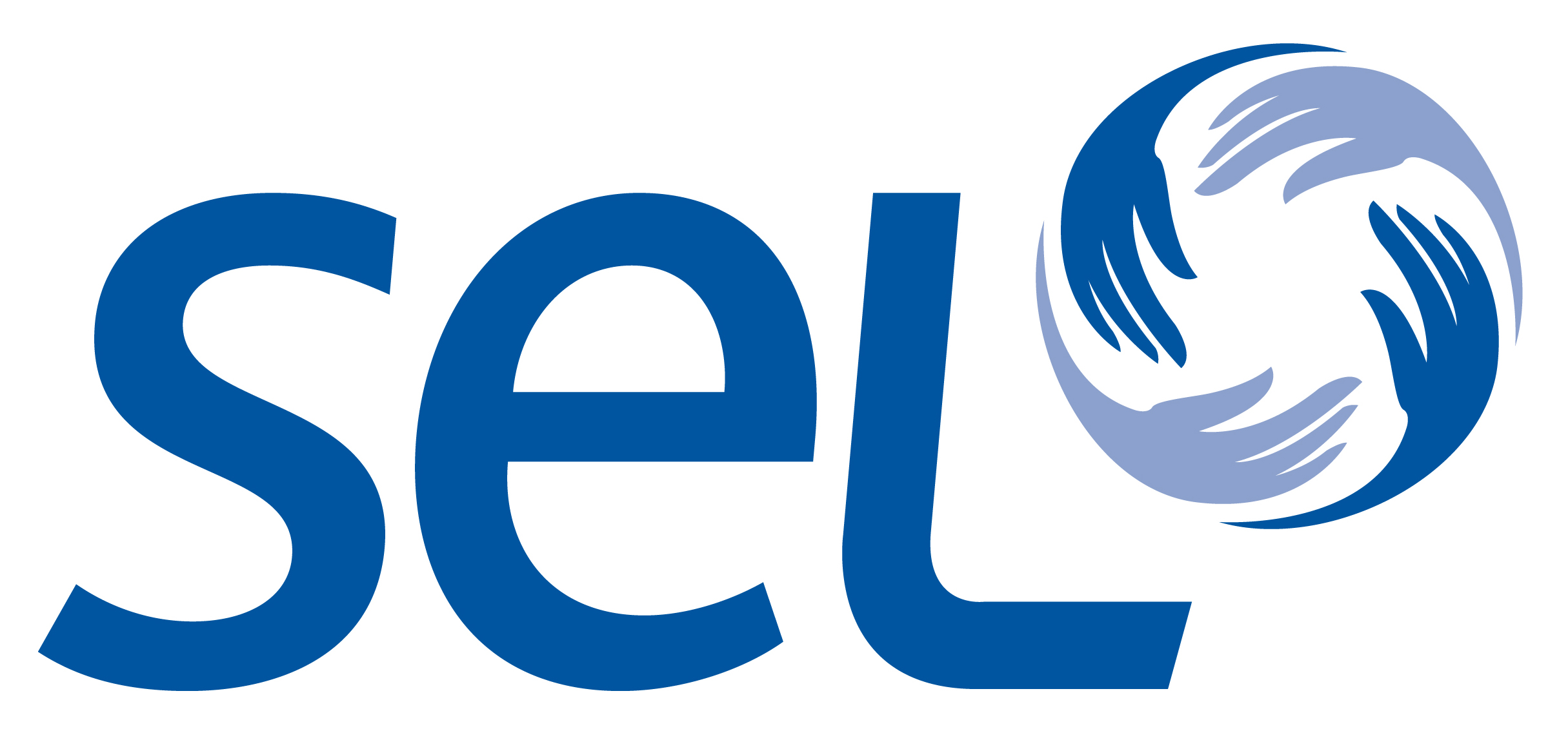 LOGO SEL GENERIQUE QUADRI-